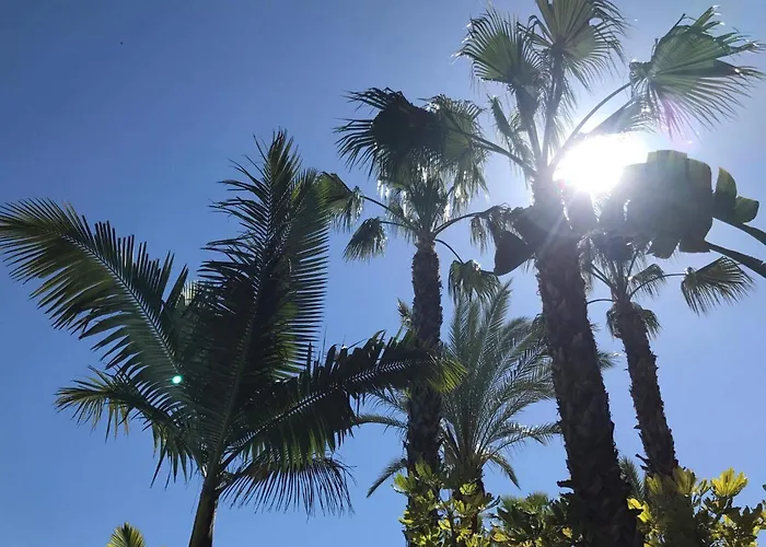 Appartement Rio Real *